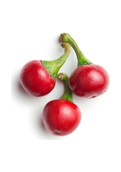 Cherry Kiraz Biber Tohumu Biber Tohumu 50 Adet Tohum