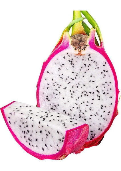 15 Adet Pitaya Tohumu Beyaz Pitaya Ağacı Tohum Ejder Meyvesi Tohumu + Saksı + Toprak