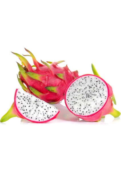 15 Adet Pitaya Tohumu Beyaz Pitaya Ağacı Tohum Ejder Meyvesi Tohumu + Saksı + Toprak