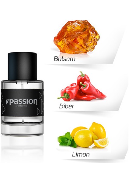 Antonio Banderas Erkek Parfümü 55 ML - EA19 fiyatları