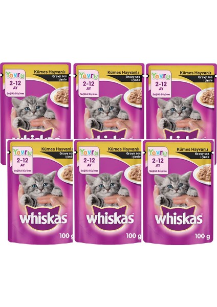 Whıskas Pouch 100GR Yavru Kumes Hayvanlı X6