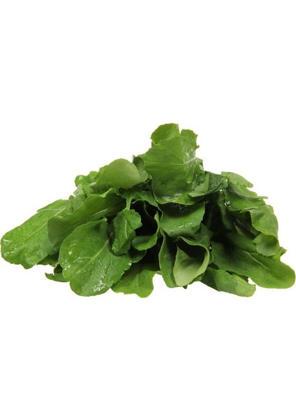 Roka Tohumu Toros Iri Yaprak - 500 G
