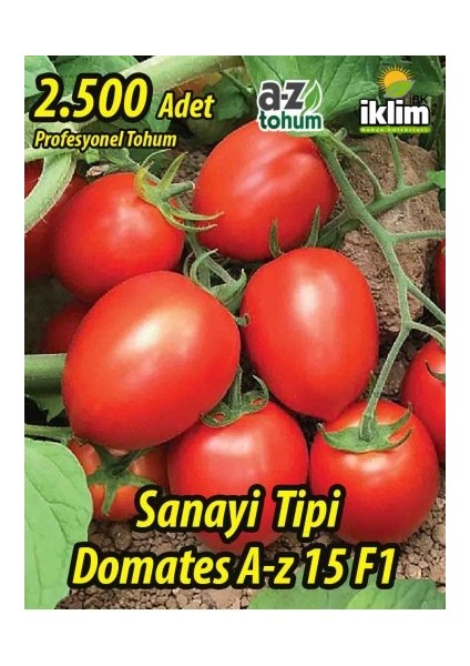 Domates Tohumu Hibrit Sanayi Tipi Domates A-Z-15 F1 50 Adet