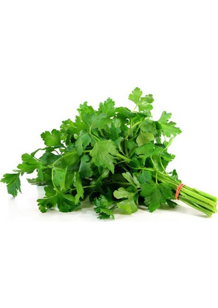 Maydanoz Tohumu Toros Maydanozu 10 kg (Yerli)