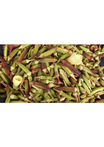 Bamya Kınalı - 25GR (~ 250 Tohum)