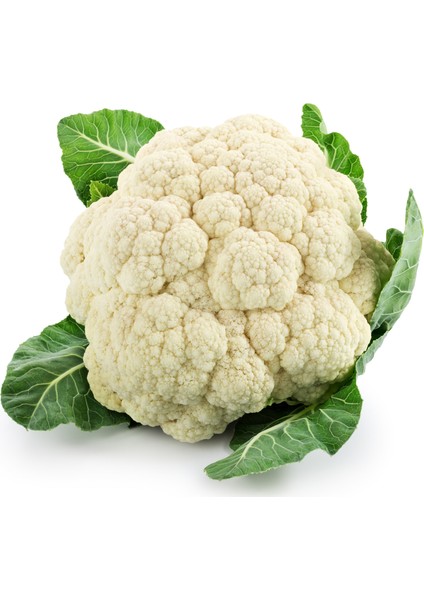 Karnabahar Tohumu Igloo 0,35 G (~ 60 Tohum)