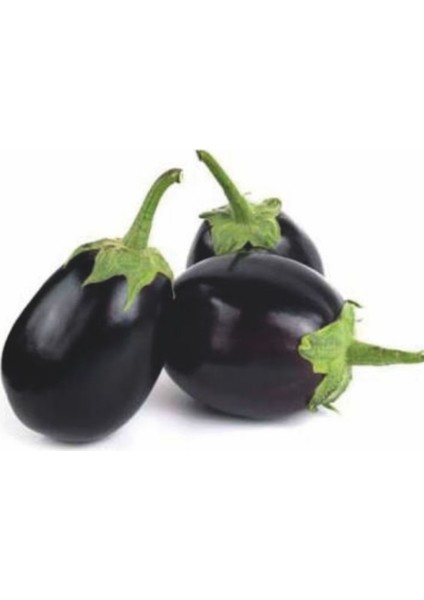 Patlıcan Tohumu Topan 374 - 100G