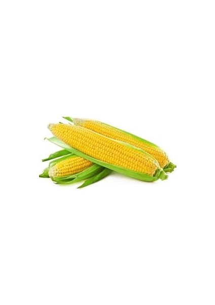 Tatlı Mısır Tohumu Kompozit Tatlı Şeker Pk 25G (~ 70 Tohum)