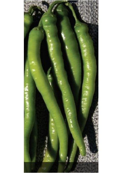 Biber Tohumu Sürmeli Biberi 5 G. (~ 400 Tohum)