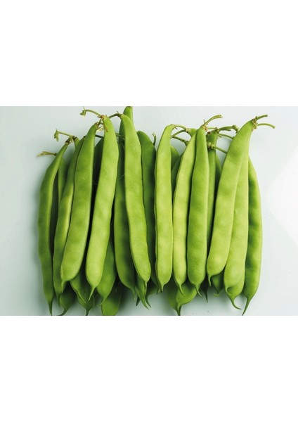 Fasulye Tohumu Özlem ( Sırık ) - 50 G