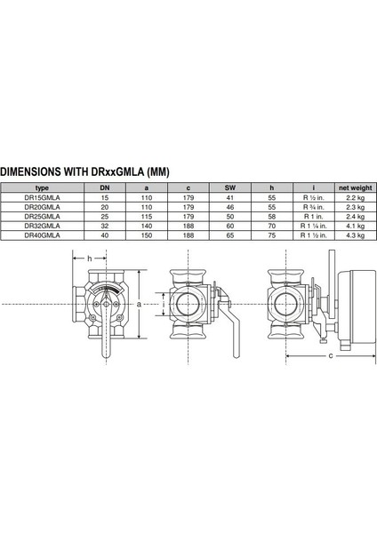 DR40GMLA DN40 Rekorlu Rotary Üç Yollu Vana Gövdesi