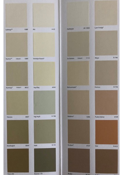 Momento Plus Plastik Iç Cephe Boyası 15 lt HASIR 310