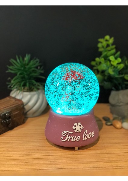 Çiko Toys True Love Romantik Çiftler Püskürtmeli Müzikli ve Işıklı Büyük Boy Kar Küresi fiyatları