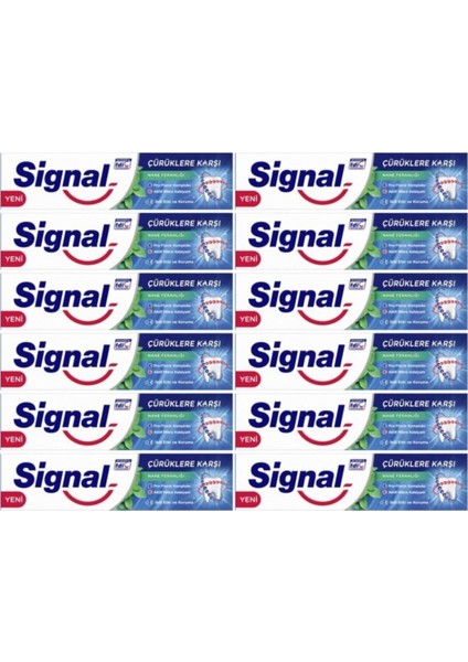 Çürüklere Karşı Nane Ferahlığı Diş Macunu 100 ml 12 Adet