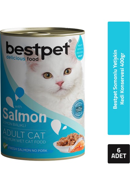 Somonlu Yetişkin Kedi Konservesi 400GR 6'lı