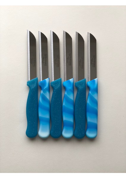 Meyve, Sebze Bıçağı