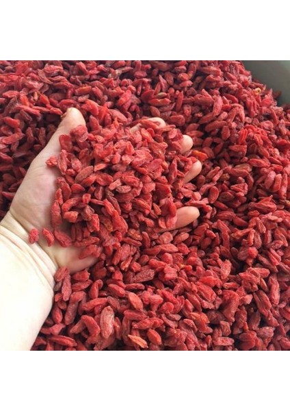 Kurt Üzümü 1 kg indirimleri