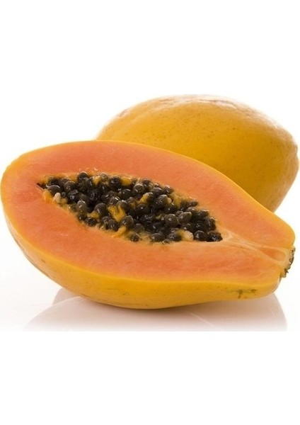 5 Adet Tohum Ithal Nadir Tropikal Bodur Papaya Ağacı Tohumu Papaya Meyvesi Tohumu Yeni Sezon