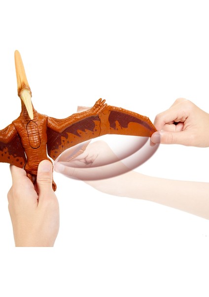 Sesli Dinozorlar - Pteranodon