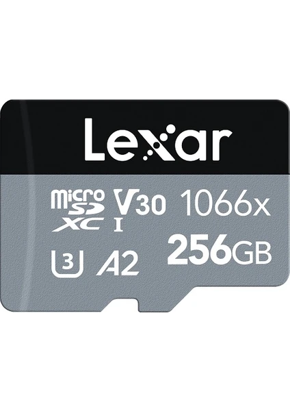 256GB Professional 1066X UHS-I MicroSDXC Memory Card + SD Adaptör Silver Series