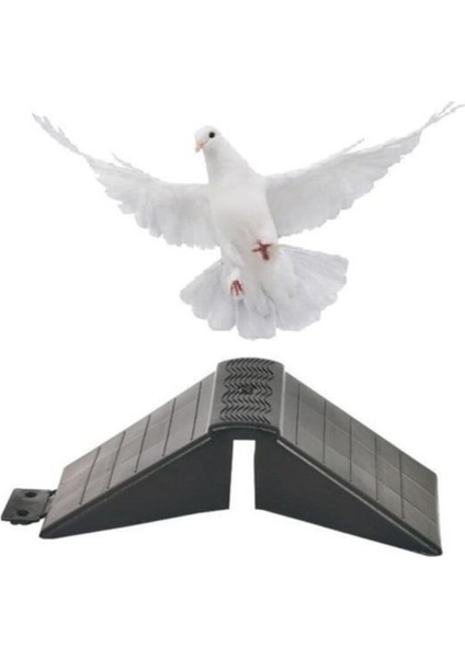 Güvercin Tünek 5 Adet