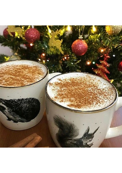 Doğal Bucak Salebi Saf Salep 75 G