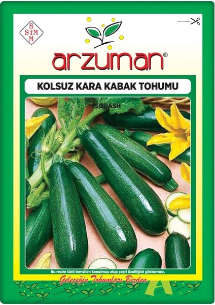 Kabak Tohumu Siyah Kabak 10 gr Kolsuz