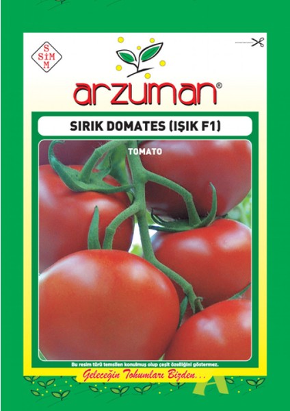 Sırık domates (Işık F1 Hibrit) Tohumu (10 adet)