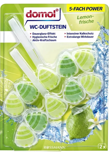 Wc Kokusu Klozet Blok Limon Ferahlığı 110 gr