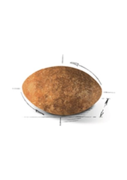 Persian Yetişkin Kedi Maması 2 kg