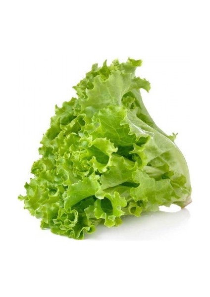 Maydanoz 50 Adet Tohum + Tere 50 Adet Tohum + Marul 50 Adet Tohum + Torf + Saksı