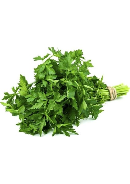 Maydanoz 50 Adet Tohum + Tere 50 Adet Tohum + Marul 50 Adet Tohum + Torf + Saksı modelleri