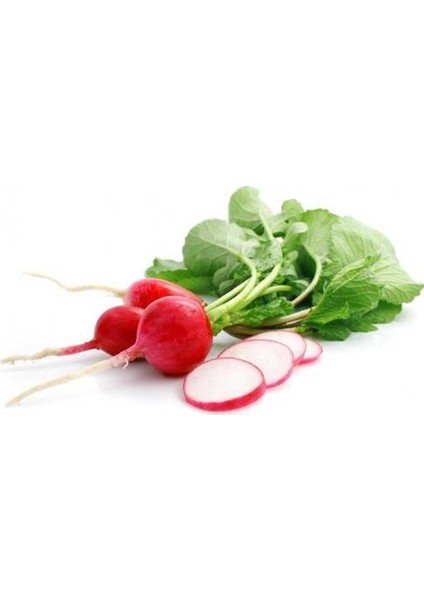 Yerli Kırmızı Fındık Turp Tohumu 900'lü fırsatları