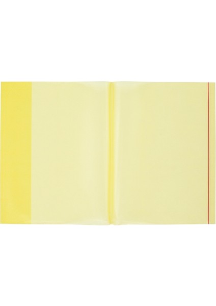 Bıgpoınt Defter Kabı 5 Li - A5 - Sarı