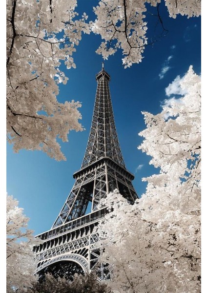 Marcel Sanat Eyfel Kulesi Manzara 41 x 58