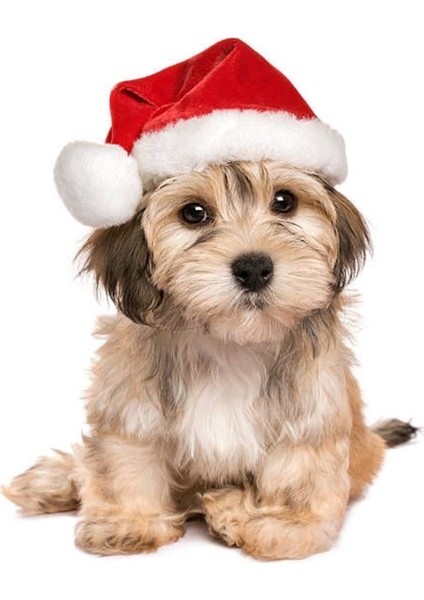 Marcel Sanat Elmas Mozaik Puzzle Tablo Yılbaşı Serisi 36 x 46 cm