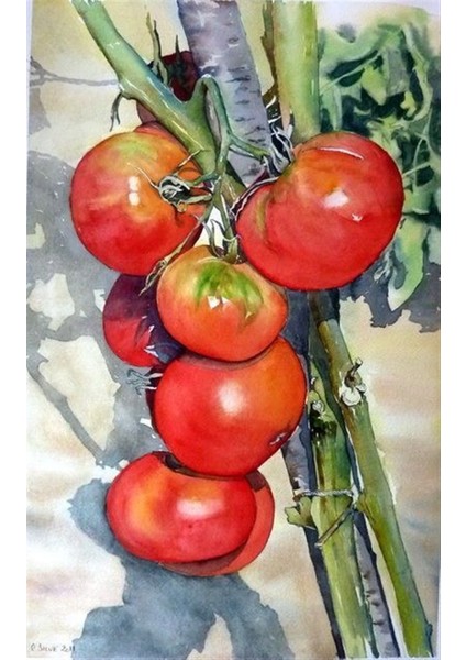 Marcel Mutfak Serisi Elmas Mozaik Tablo 36 x 56 cm