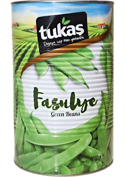 Taze Fasulye Konservesi 4100 gr