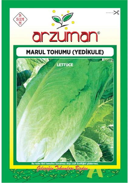 Yedikule Marul Tohumu (10 Gr)Göbekli Marul