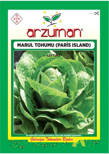 Marul Tohumu-Paris Island (10 Gr)