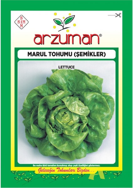 Marul Tohumu - Şemikler - (10 Gr)