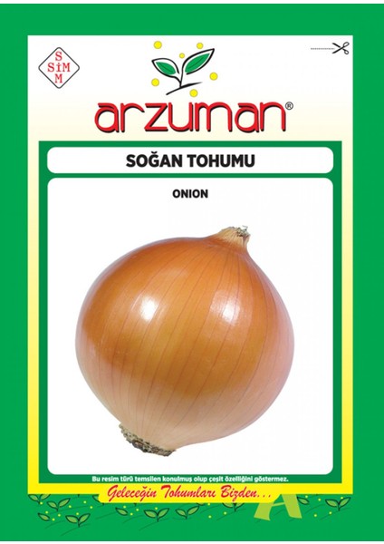 Sarı Soğan Tohumu (10 Gr) Gence