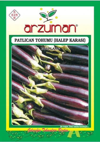 Patlıcan Tohumu (10 Gr) Halep Karası