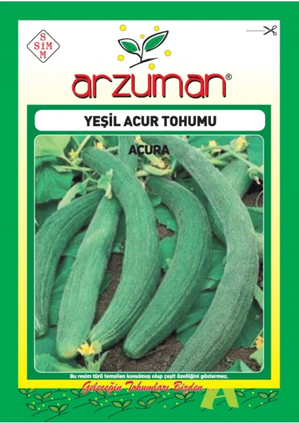 Acur Tohumu (10 Gr) Yeşil-Uzun Tip