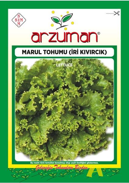 Iri Kıvırcık Marul Tohumu 10 Gram
