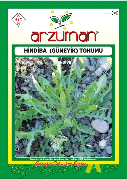 Hindiba (Güneyik) Marul Tohumu 5 Gram