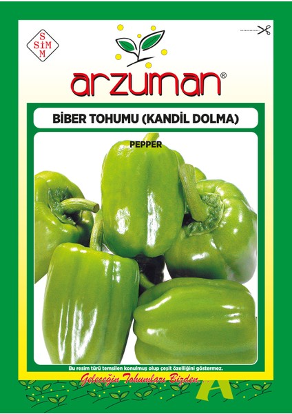 Kandil Biber Tohumu 10 Gram