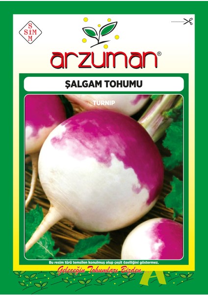 Şalgam Turp Tohumu 10 Gram