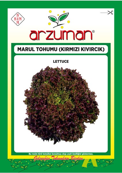 Kırmızı Kıvırcık Marul Tohumu 5 Gram