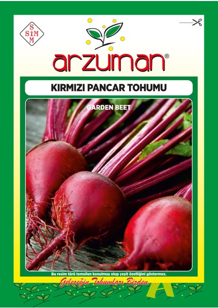 Kırmızı Pancar Tohumu 10 Gram